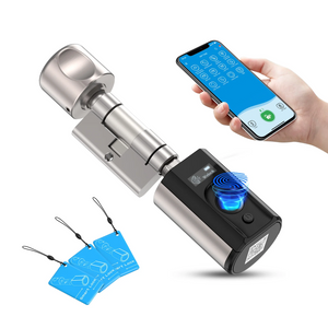 WELOCK Smart Fingerprint Lock Touch61