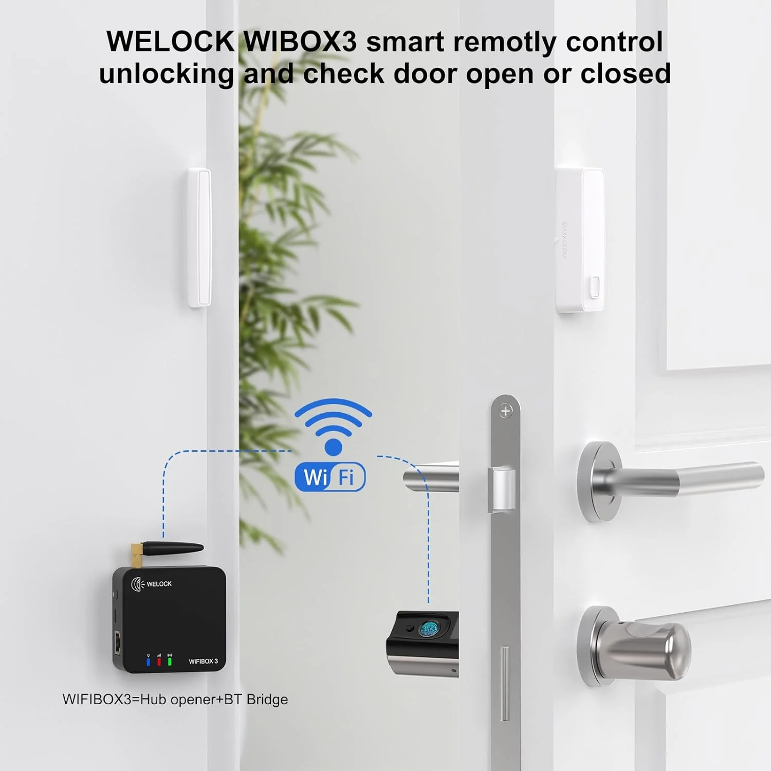 WELOCK Fingerprint Smart Door Lock Touch41